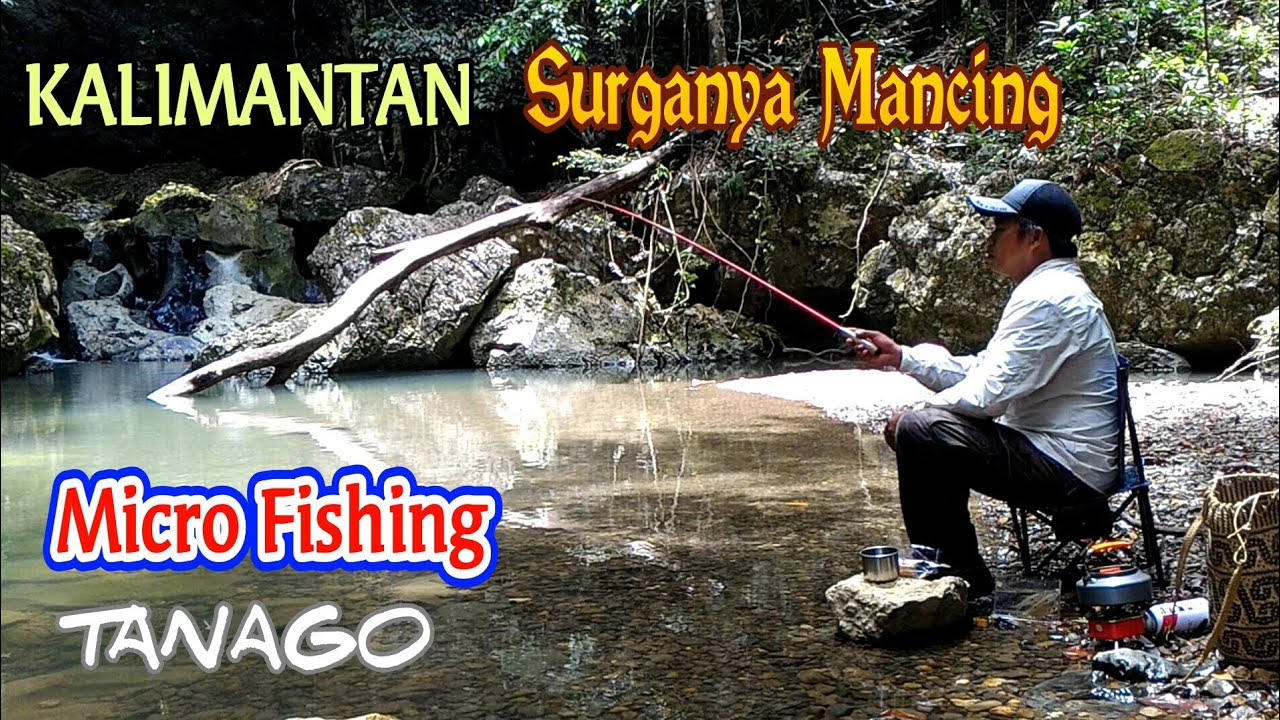 Micro Fishing Tanago || Sambil nikmati suasana syahdunya alam Kalimantan || ISPULL TANAGO PREMIUM