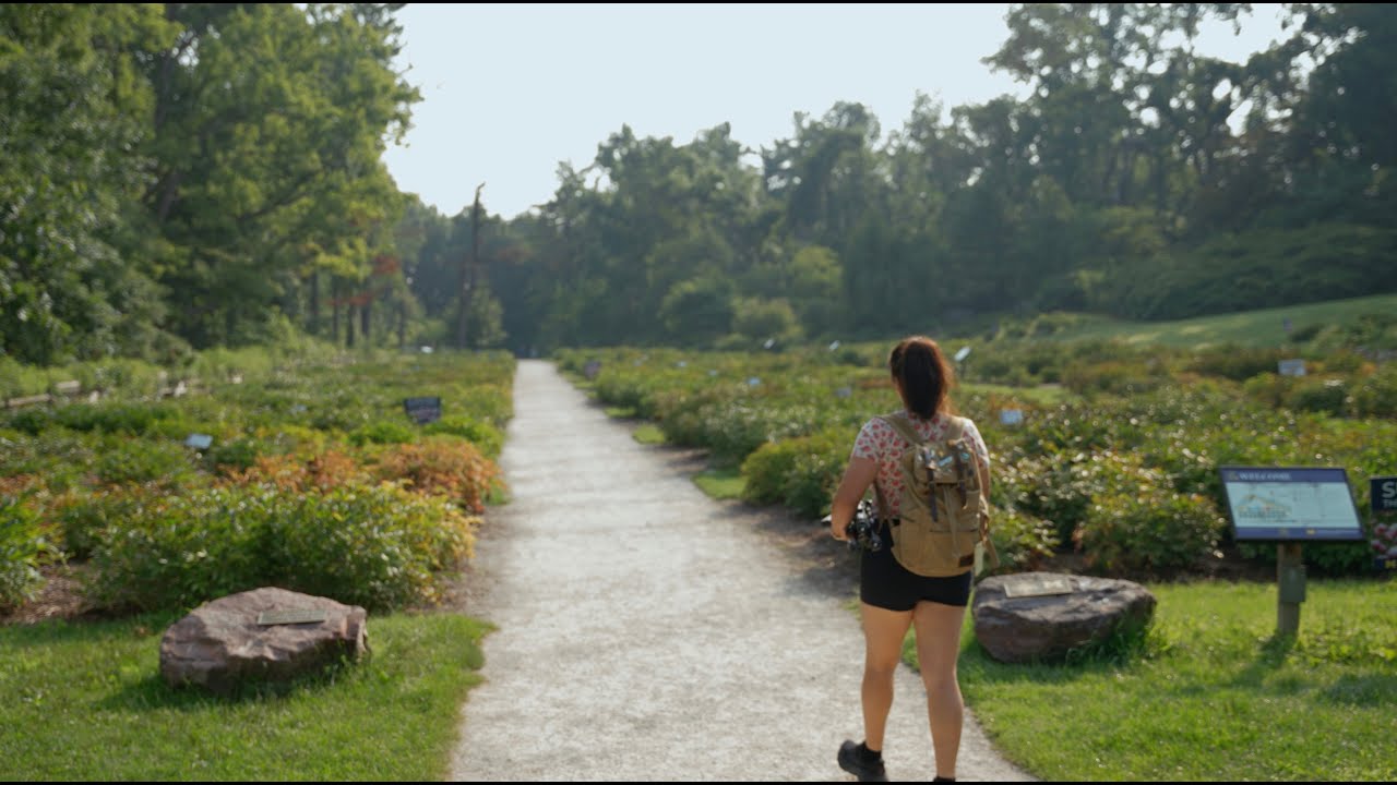 Ребекка Голдберг: Достопримечательности и звуки в дендрарии Николса