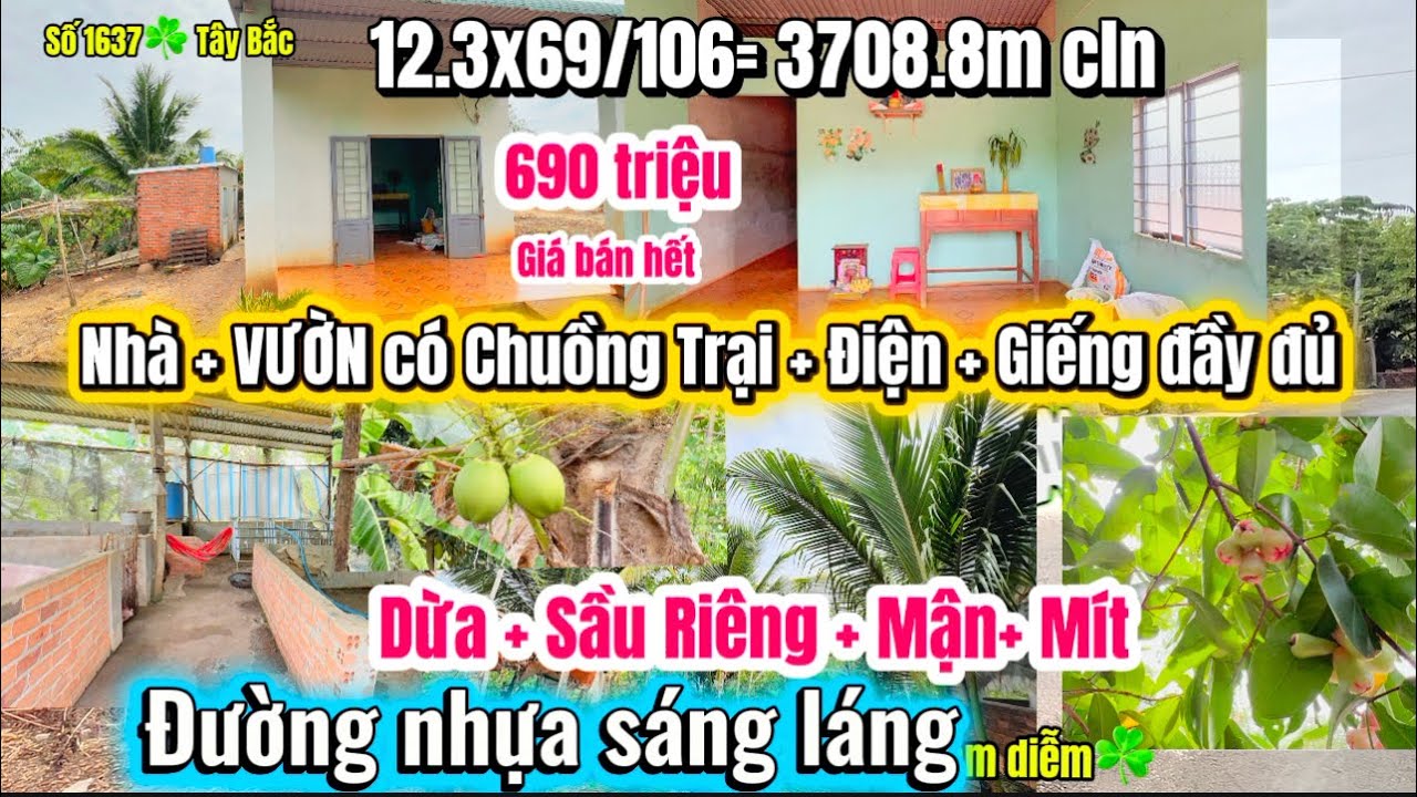 Số 1637✅ Nhà VƯỜN có NGUỒN THU + ít Trái Cây (12.36x60:106=3708.8m cln) 💥giá 690triệu