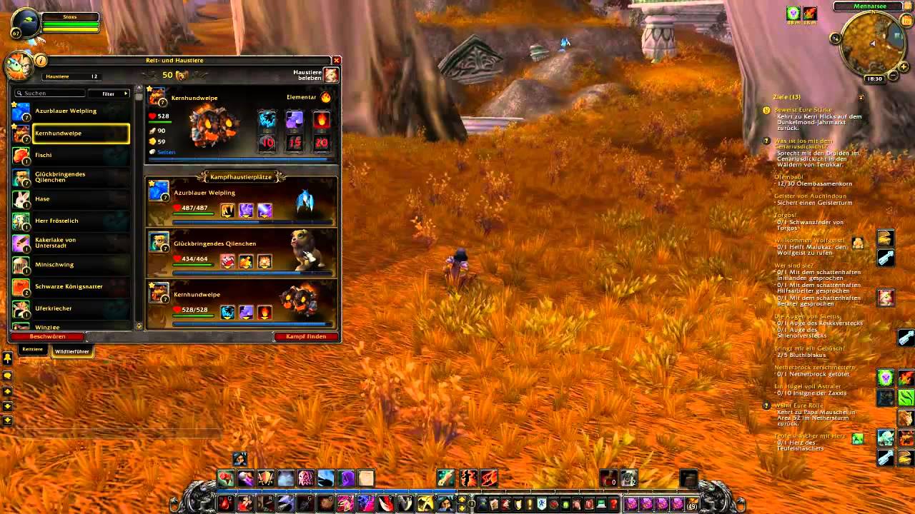 World of Wacraft  Haustierk&auml;mpfe Tutorial f&uuml;r Anf&auml;nger