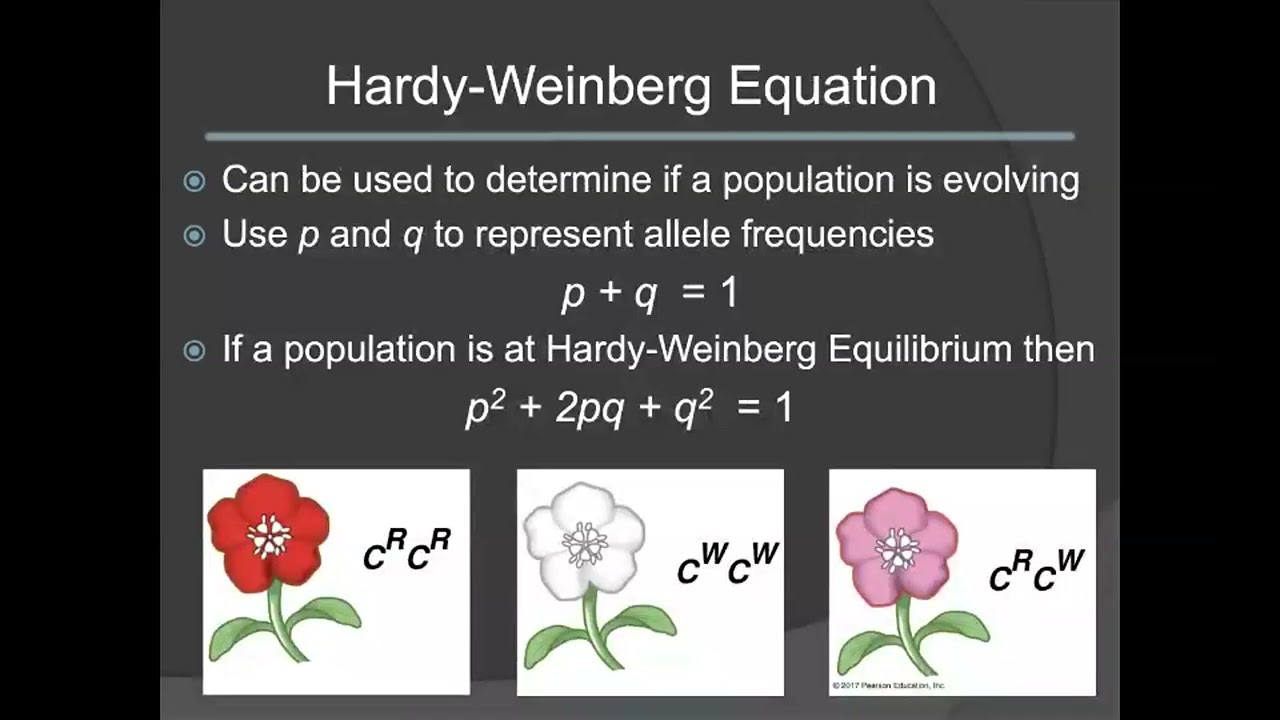 BIO104 Lecture 1 Part 2: Populations and Evolution