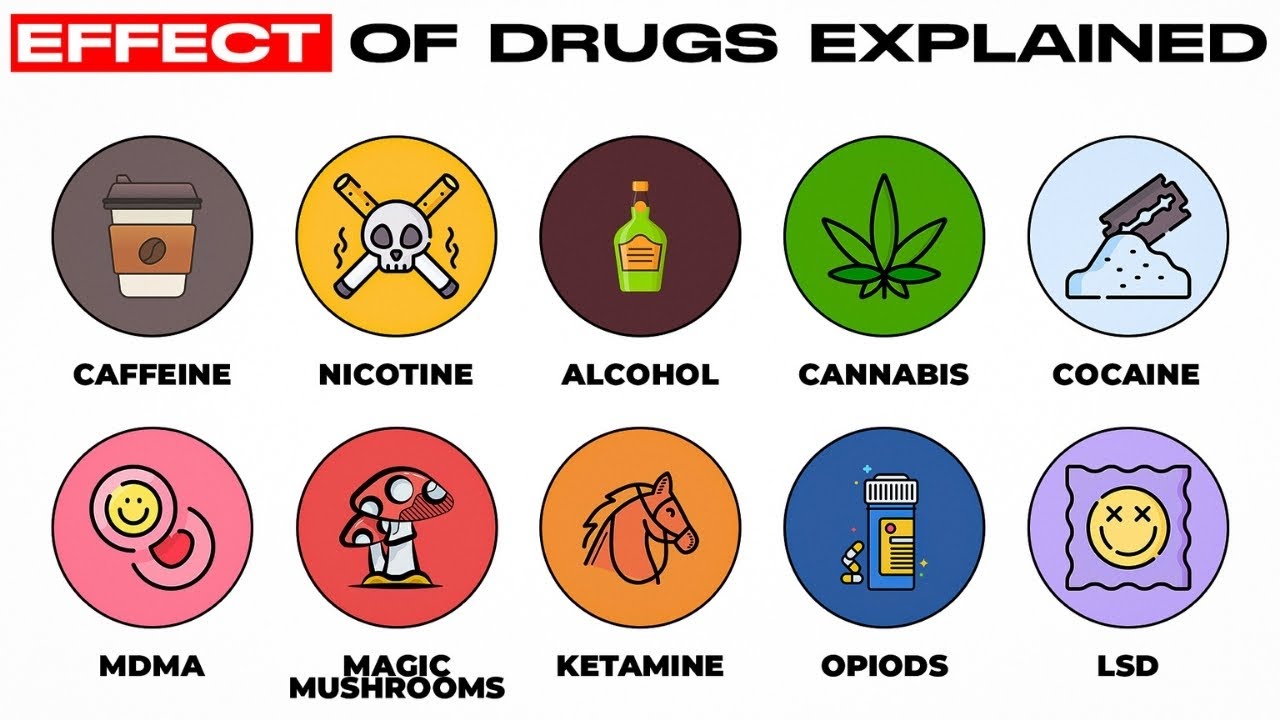 Every Drug & It's Effect Explained in 18 Minutes
