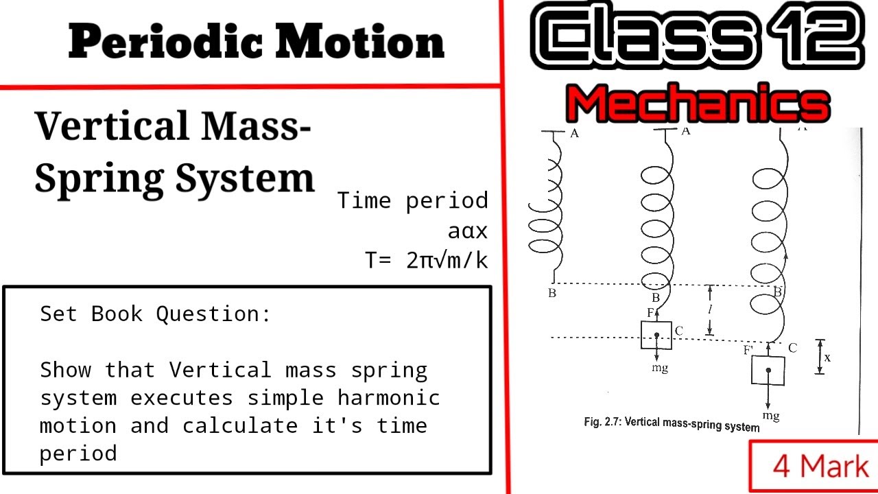 Vertical Mass Spring System I Periodic Motion I Class 12 I Physics I RBF I NEB