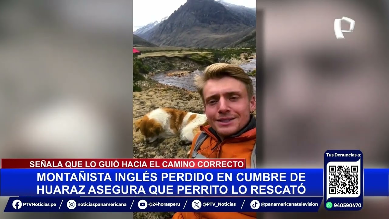 Huaraz: perrito callejero salva a excursionista que se extravió en montaña