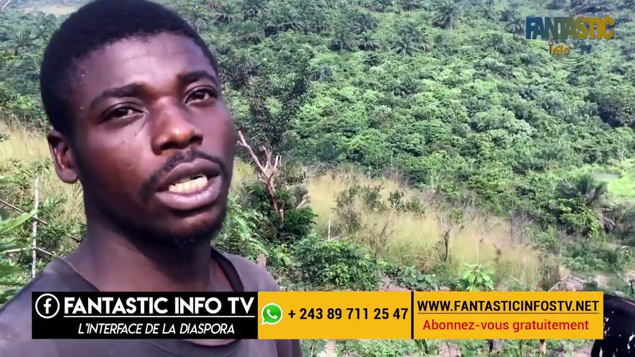 REGARDE CETTE VIDEO SI TU VEUX INVESTIR EN AGRICULTURES AU CONGO KINSHASA