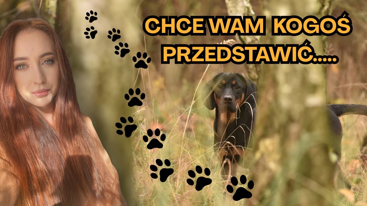 W TERENIE ODC. 16 / POZNAJCIE MOJEGO PRZYJACIELA