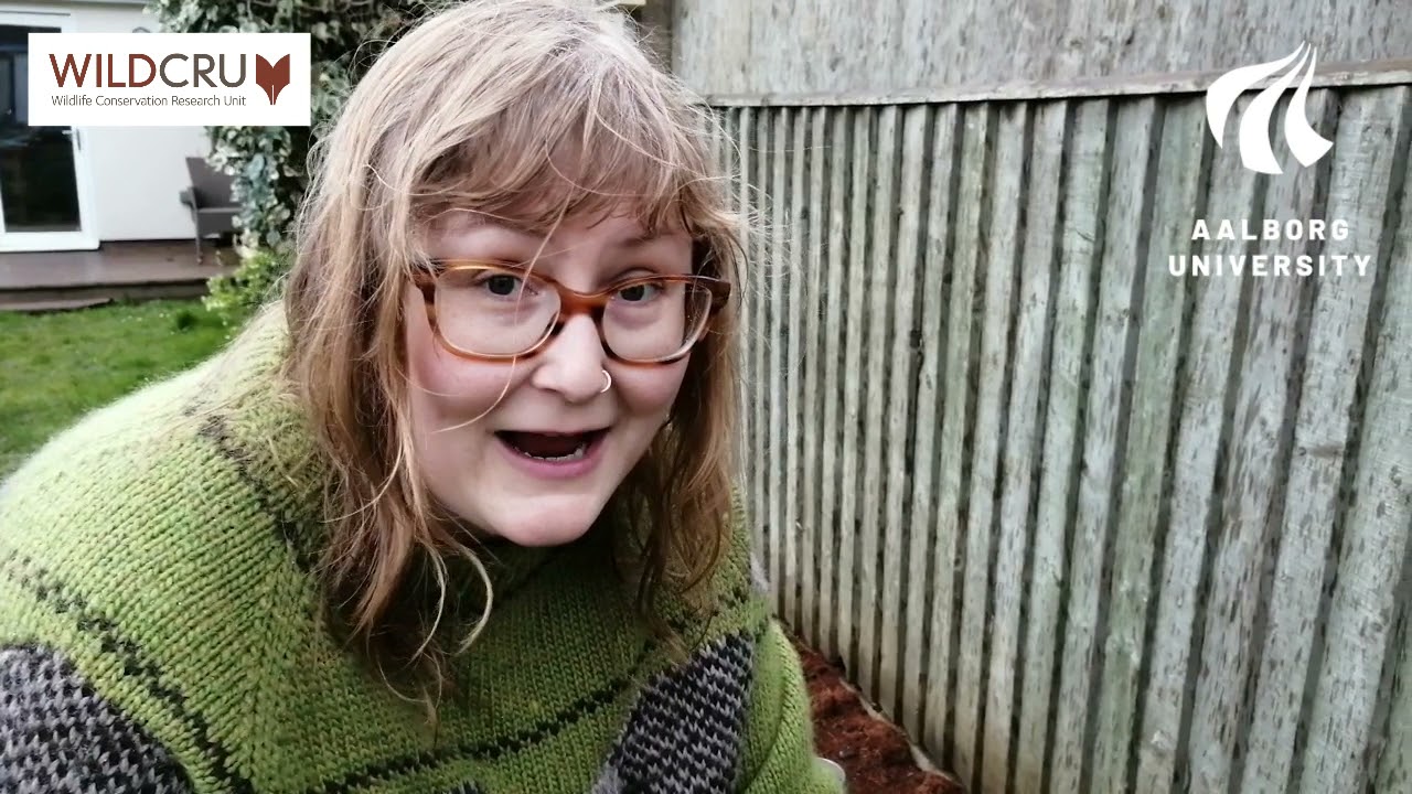 Hedgehog Houses and Nest Sites