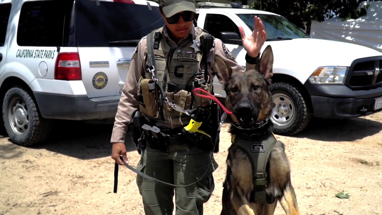50th Anniversary of California State Parks K-9 Program