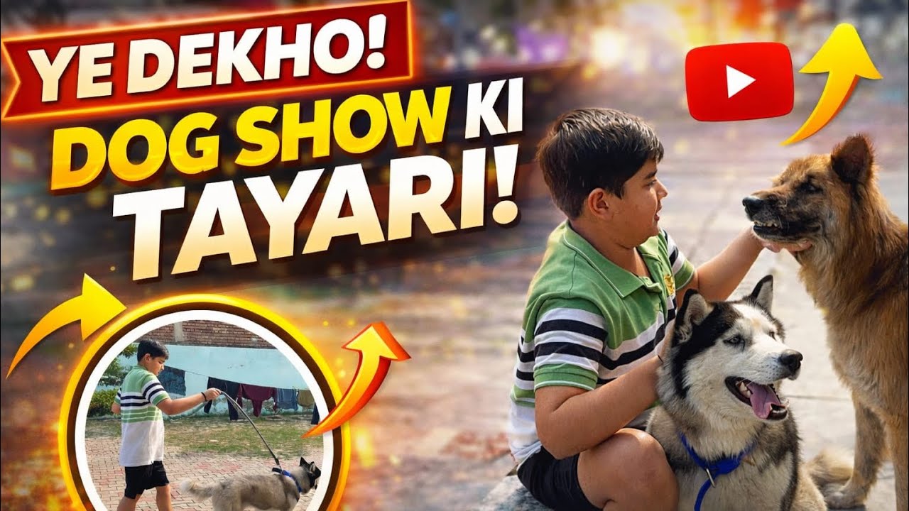 DOG Show ki tyari 👉🏻 TARZEN or NAWAB ki 👑 | ROHIT SHOKEEN 