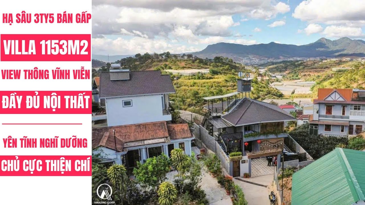 HẠ SÂU 3TY5 BÁN GẤP VILLA SÂN VƯỜN 1153M2 VIEW RỪNG THÔNG ĐỒI NÚI 