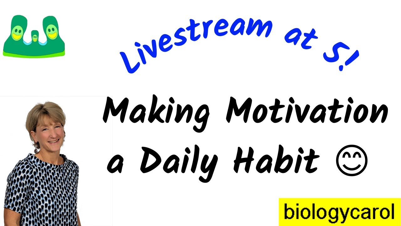 Making Motivation a Daily Habit