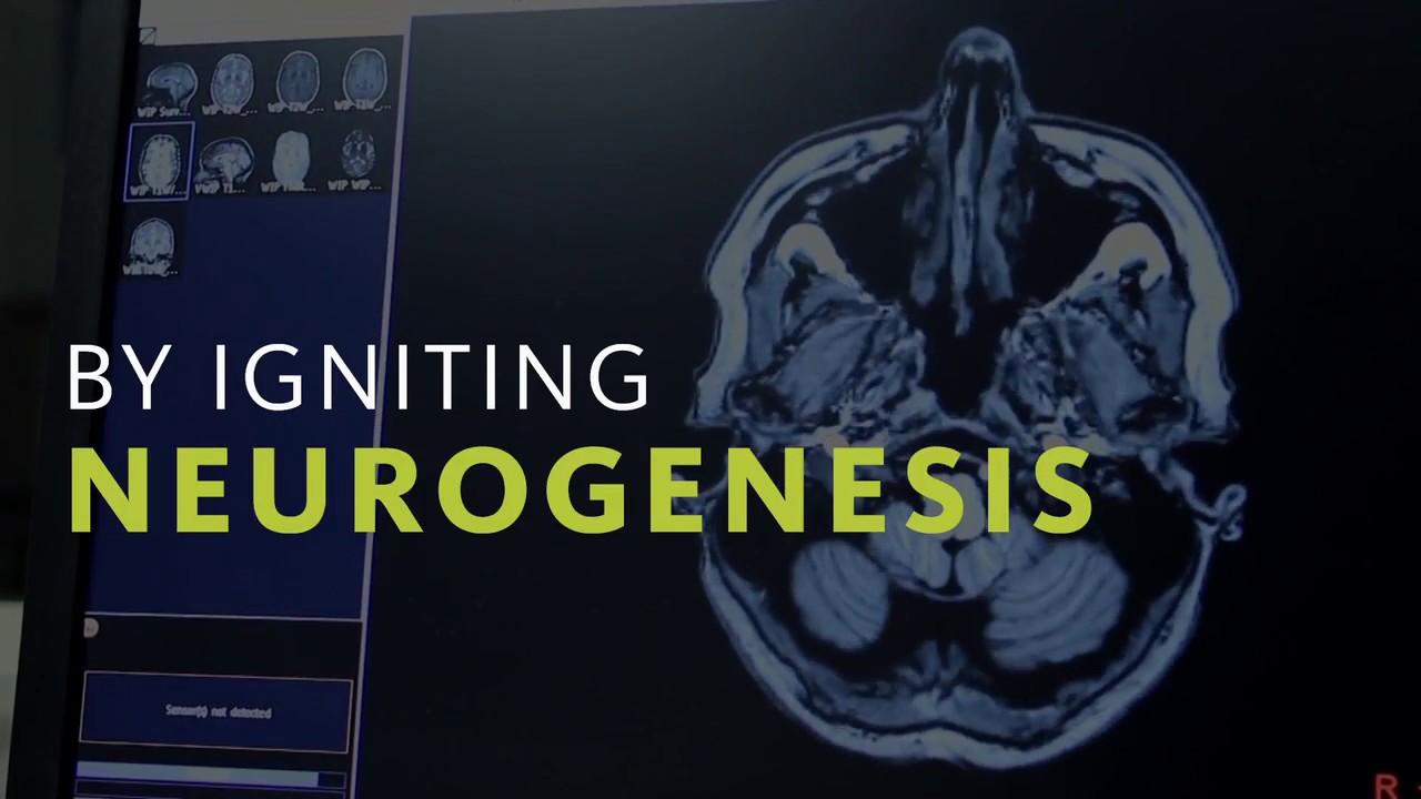 Closing in on a Cure: Dr. Roberta Diaz Brinton and Allopregnanolone