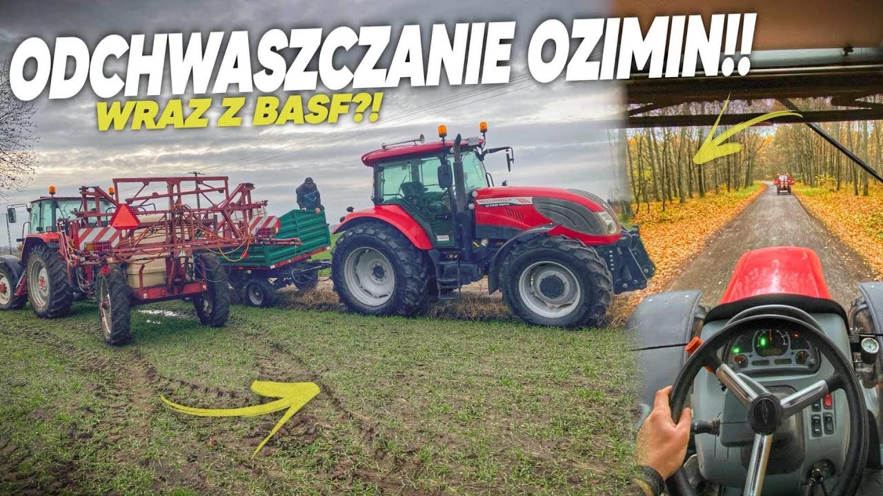 Odchwaszczanie Ozimin z BASF! Sezon dobiega do końca!🚜 NIEMENÓWKA#73