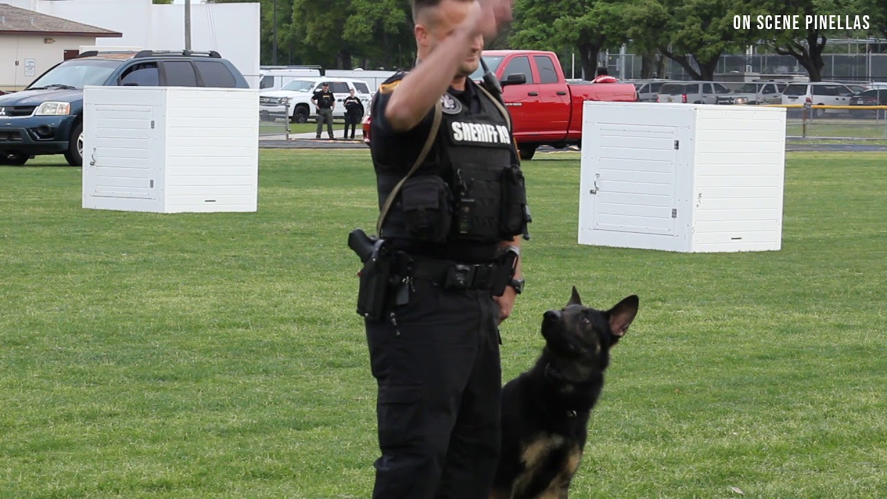 2019 Pinellas County K9 Graduation Ceremony Highlights