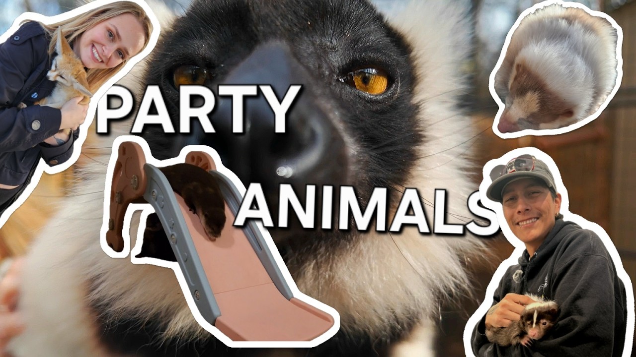 Meet and Greet With Some of The Cutest Animals