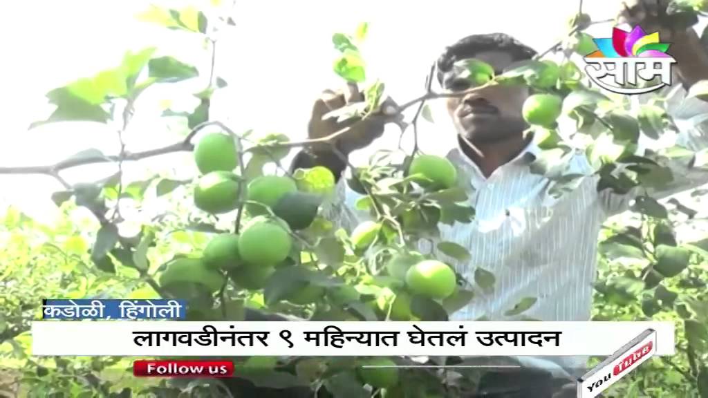 Gajanan Kadam's Apple Ber success story