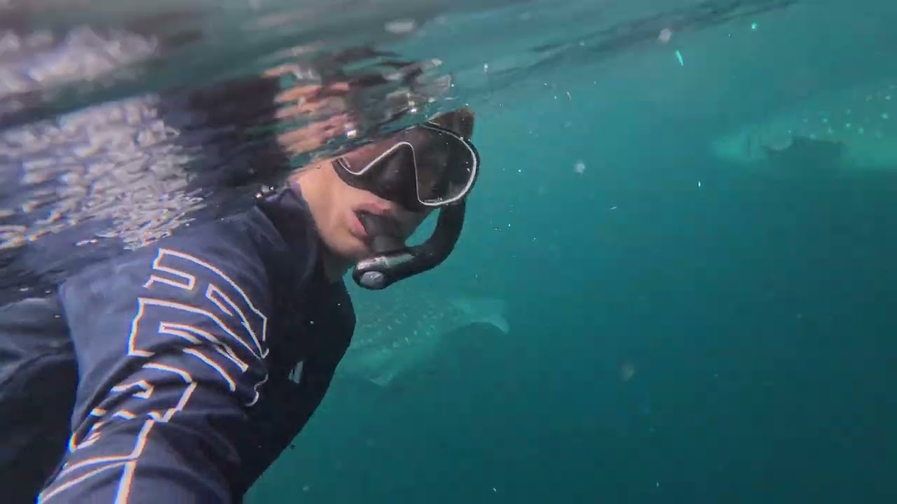 Nabire, Cenderawasih Bay
