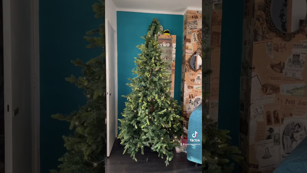 Sinterklaas en de kerstboom 🎄