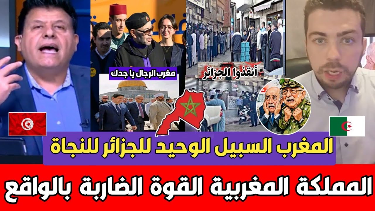 عاجل أول تونسي يفجـ ـرها بوجه تبون بعد أزمة الغـذاء الملك محمد السادس سبيلك الوحيد لإنقاذ الجزائر