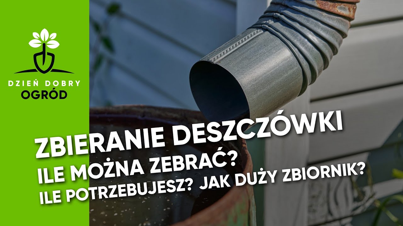 Zbieranie Deszczówki. Ile można zebrać? Jak duży zbiornik potrzebujesz?