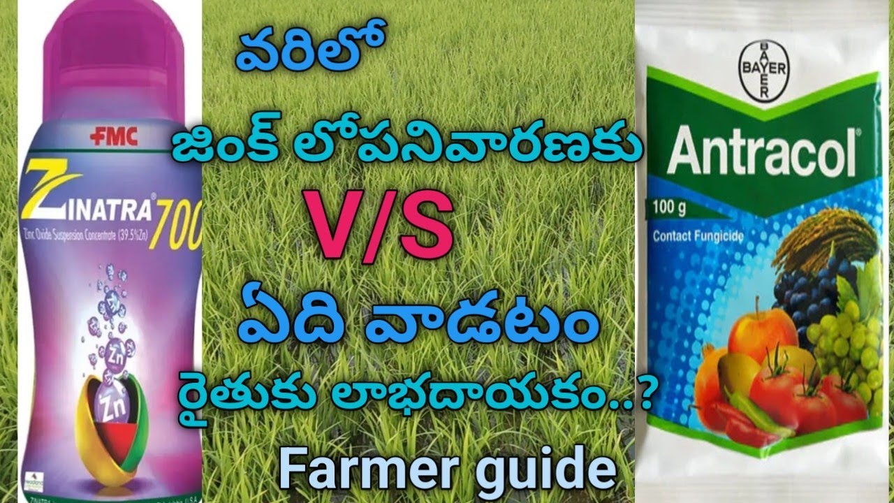 Zinatra-700 v/s Antracol ఏది వాడటం మంచిది 
