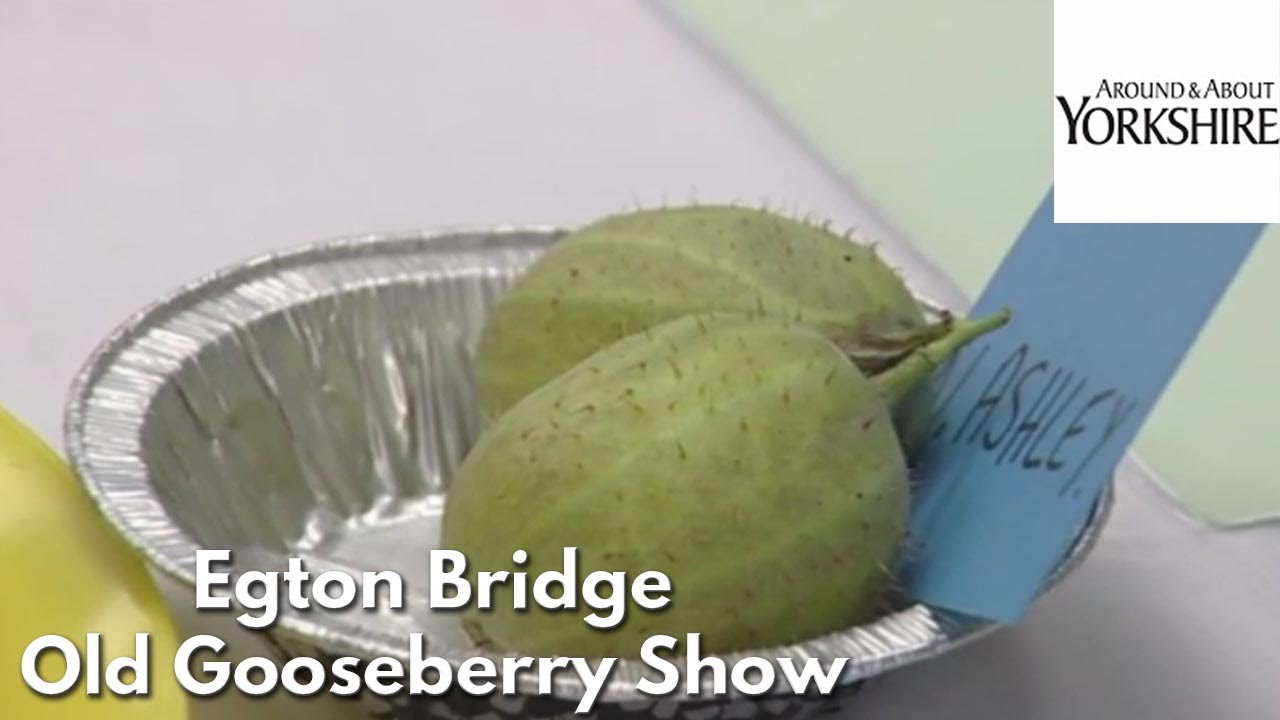 Egton Bridge Old Gooseberry Show