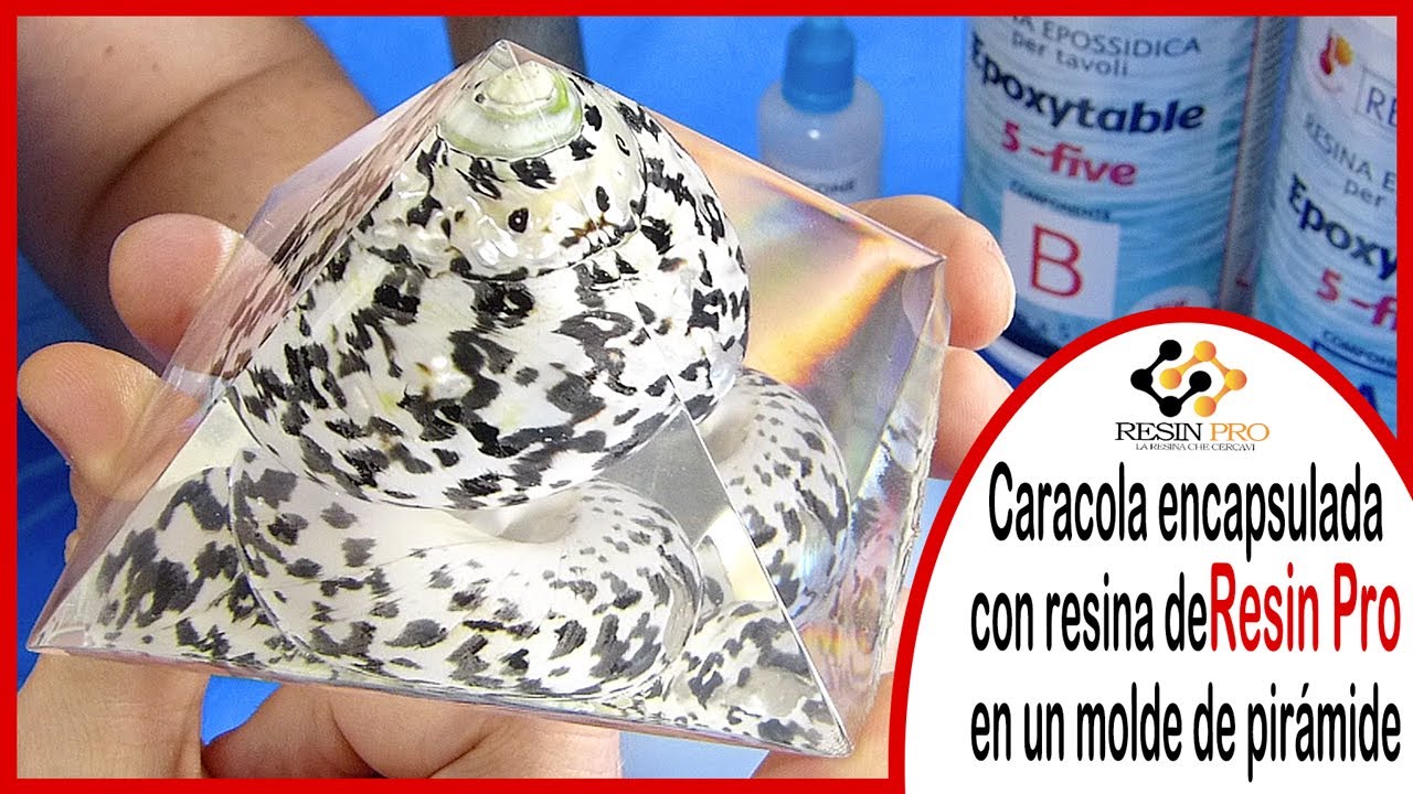 Caracola encapsulada con resina de Resin Pro en un molde de pirámide