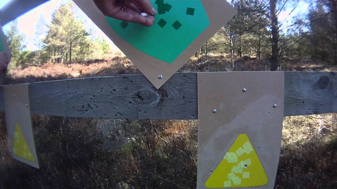 Pistolterræn cal 32 bane 8 skive