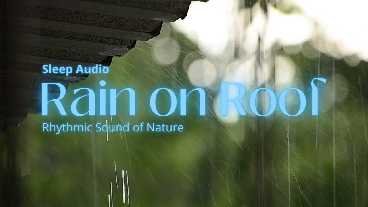 All Day Raining Sound on Metal Roof | Relaxing, Deep Sleep, Calming Nature