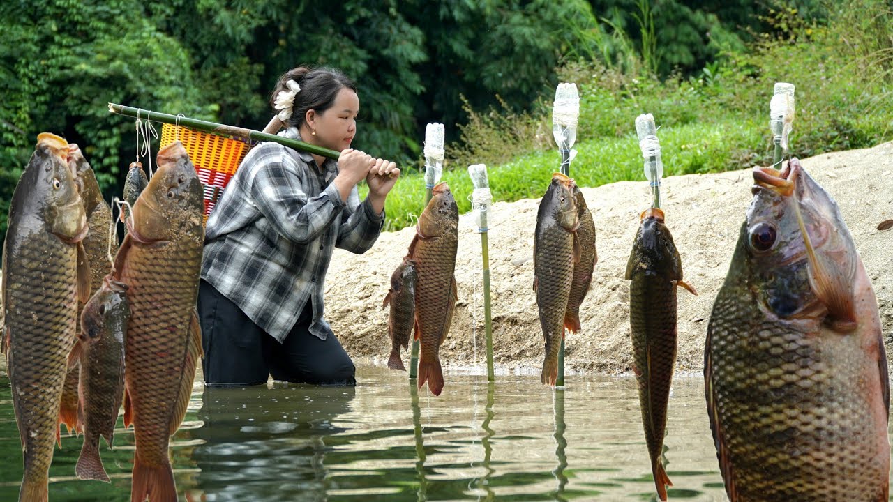 Girl uses bamboo as fishing rod, Meets big fish [ Simple life DH