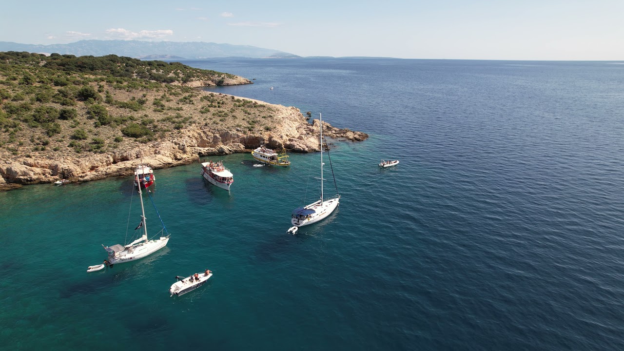 Otok Plavnik