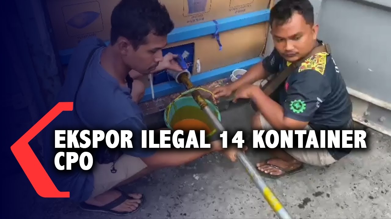 Upaya Ekspor Ilegal 14 Kontainer CPO ke Cina Digagalkan Kejari Pontianak