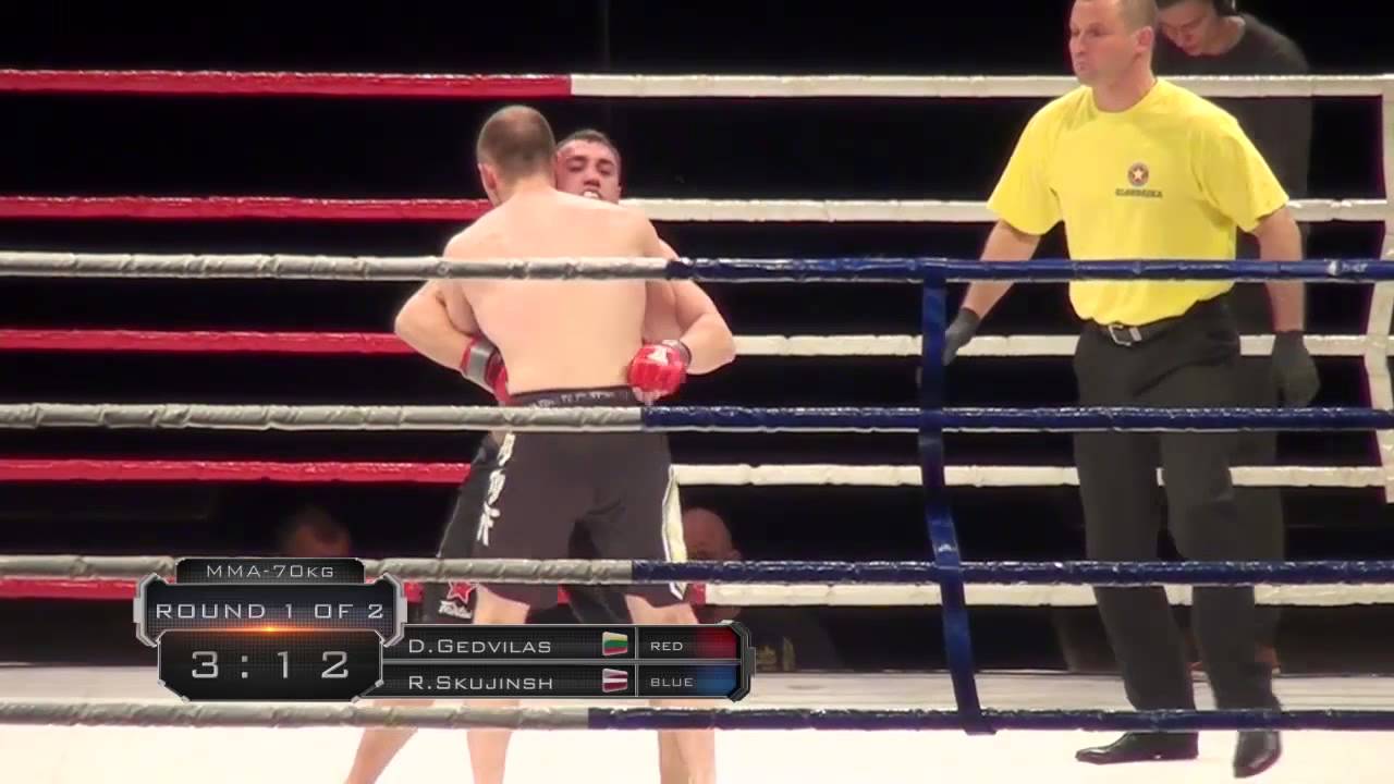 Fight Arena 28.03.2015 | Dainius Gedvilas - Robert Skujinsh