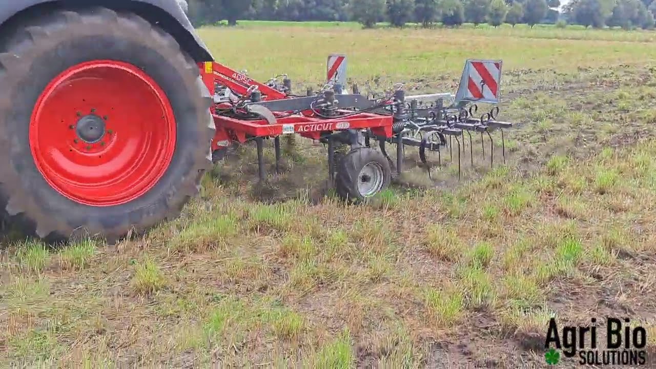 4 Disc Acticut 2025