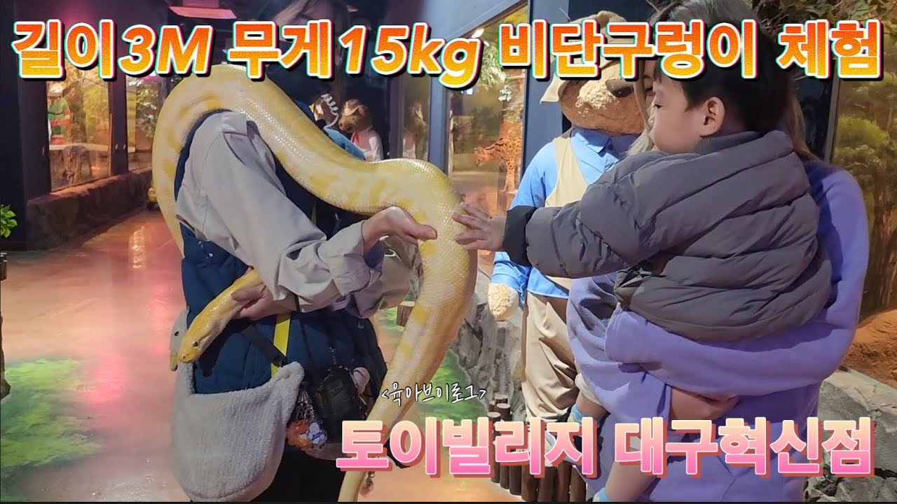 [육아vlog] 토이빌리지대구혁신점 | 동물먹이체험 | 21개월아기 비단구렁이만지기 | 2023_19