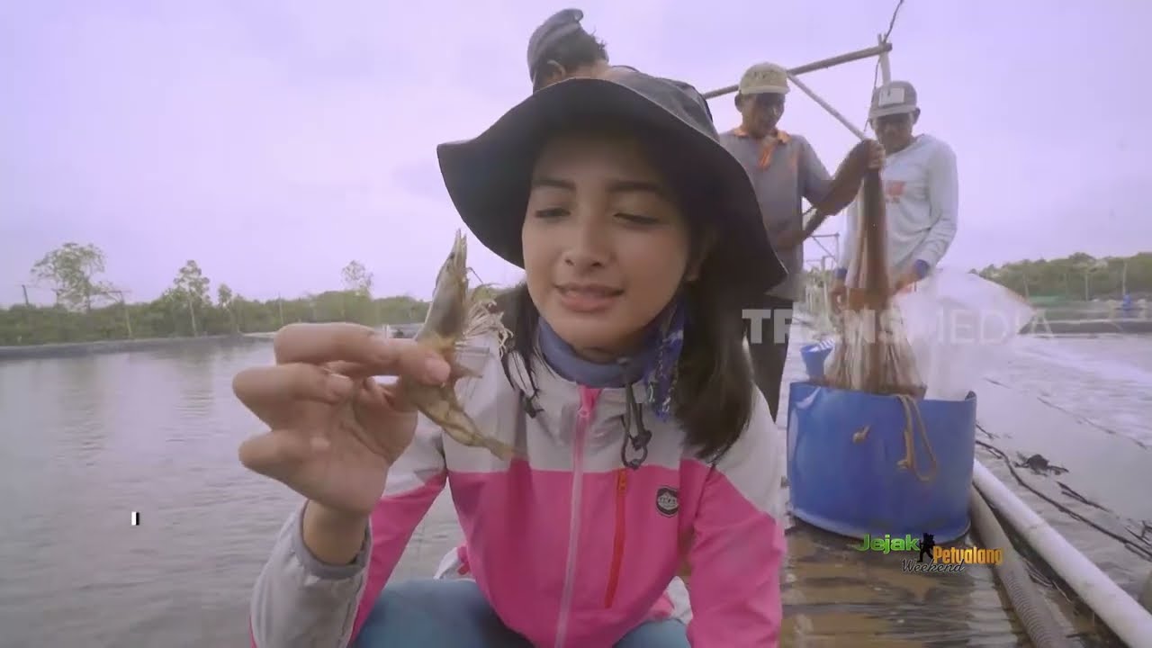 [FULL] KEKAYAAN ALAM NUSANTARA | JEJAK PETUALANG (26/11/23)