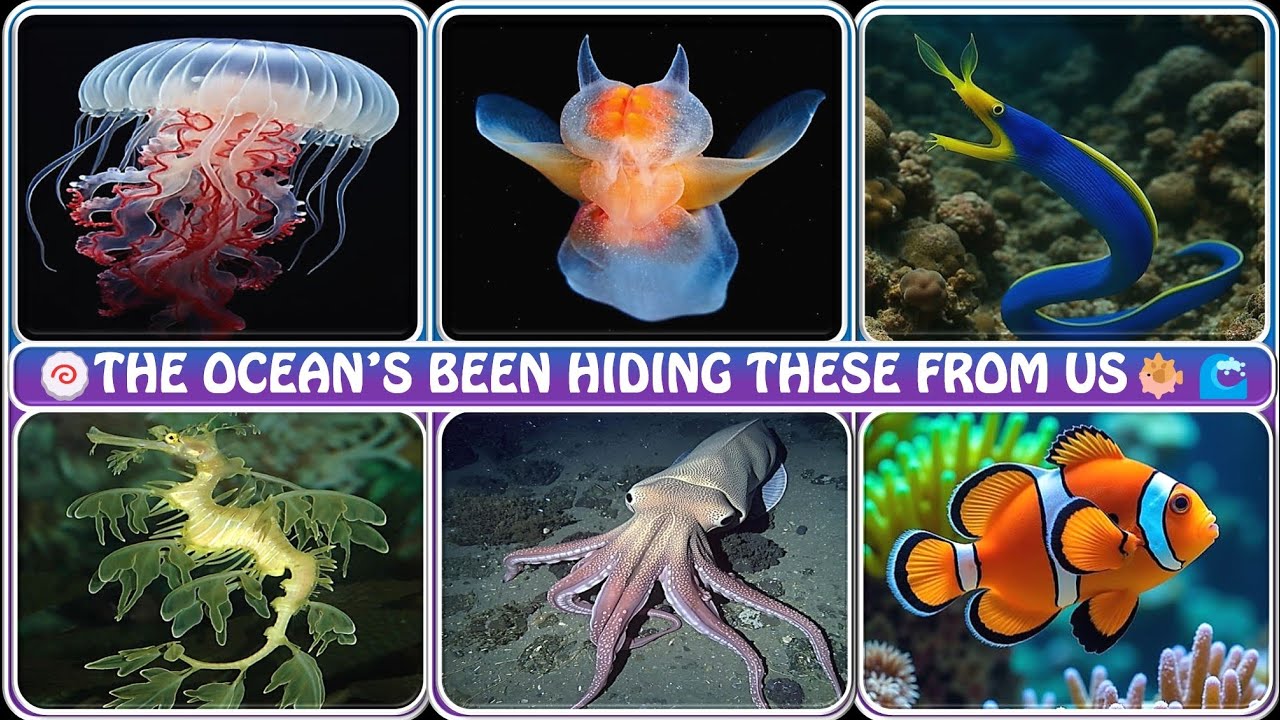 Things the Ocean Is Hiding From Us 🌊😱