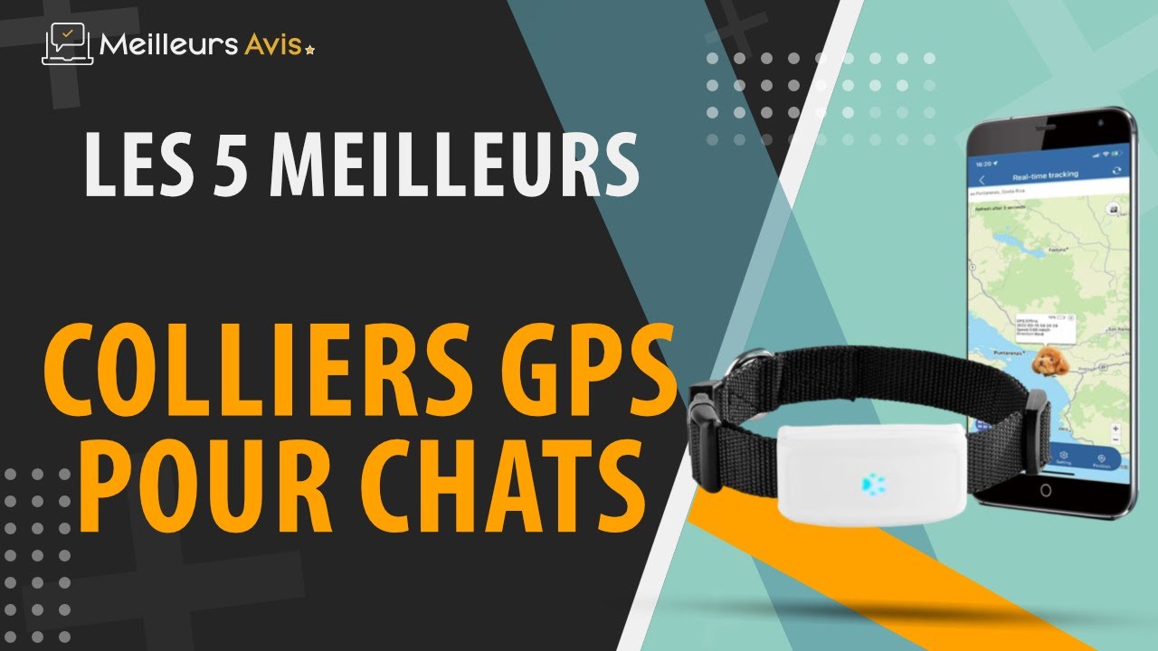 ⭐️ MEILLEUR COLLIER GPS POUR CHAT - Comparatif 2024