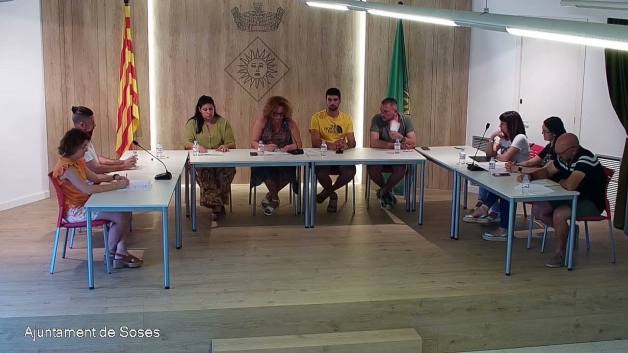 Ple 08/2023 - Extraordinari Organització Cartipàs