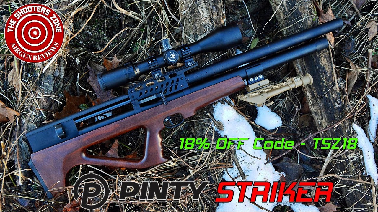 Pinty Striker Shot Count — это потрясающе!