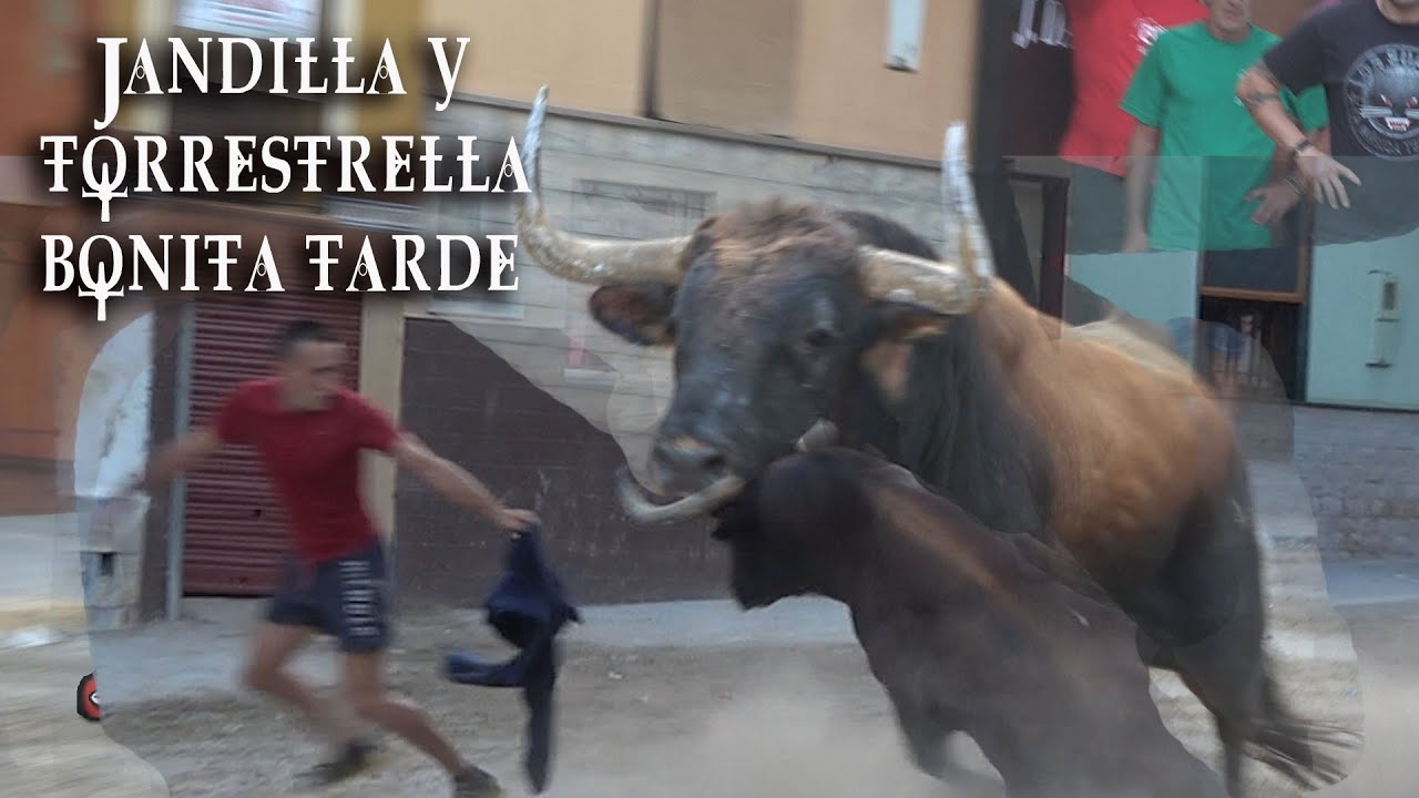 2 TOROS DE JANDILLA Y TORRESTRELLA LA VILAVELLA 31-08-2022