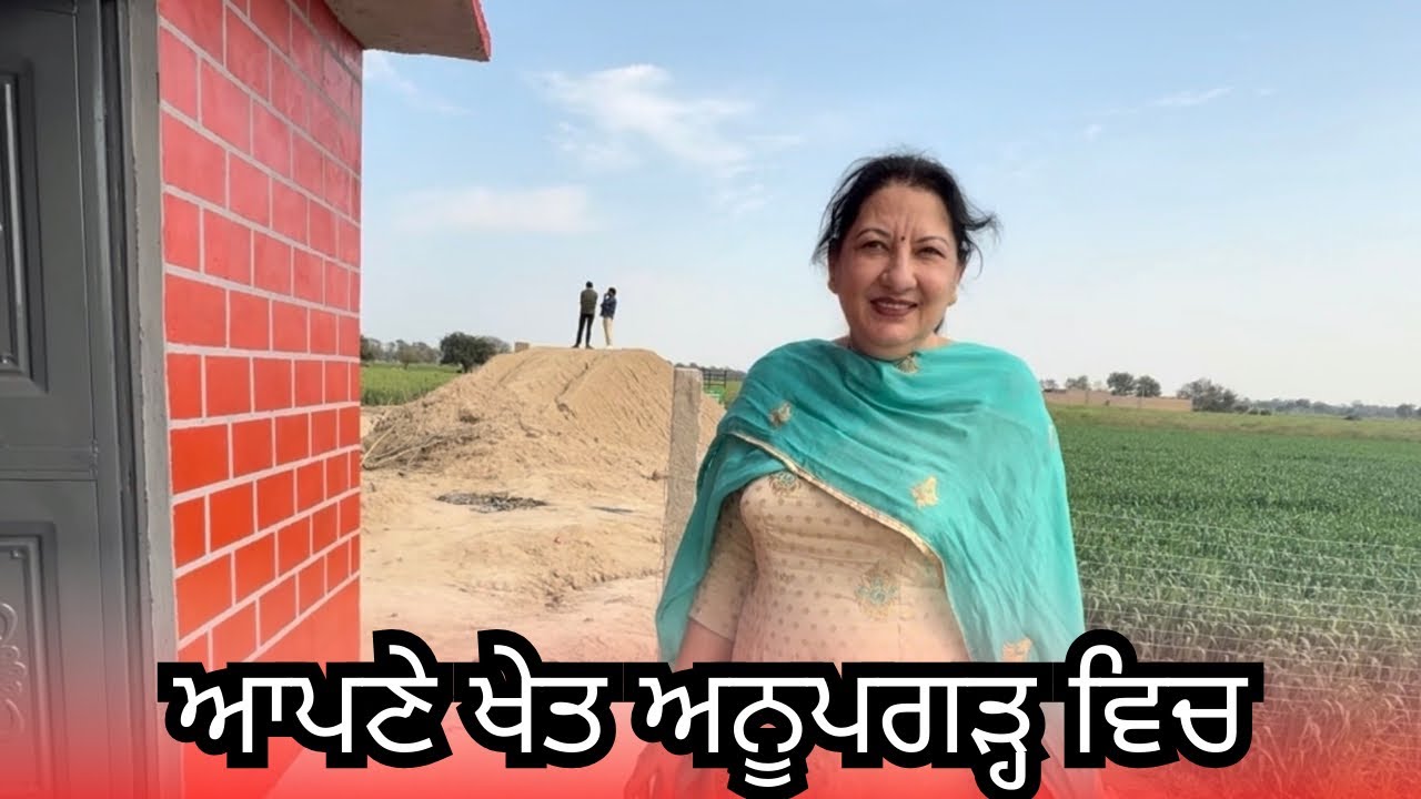 Rajasthan de kheth te fasal 🌱 | ਰਾਜਸਥਾਨ ਦੇ ਖੇਤ ਤੇ ਫ਼ਸਲ | by @Jasvir_Germany_Vlogs 