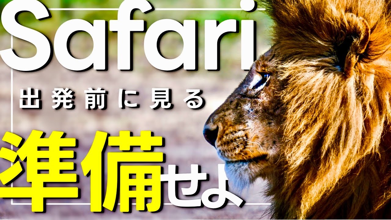 【アフリカ旅行】サファリツアー！ワクチン、持ち物や服装などのポイントを紹介【ケニア/海外旅行】