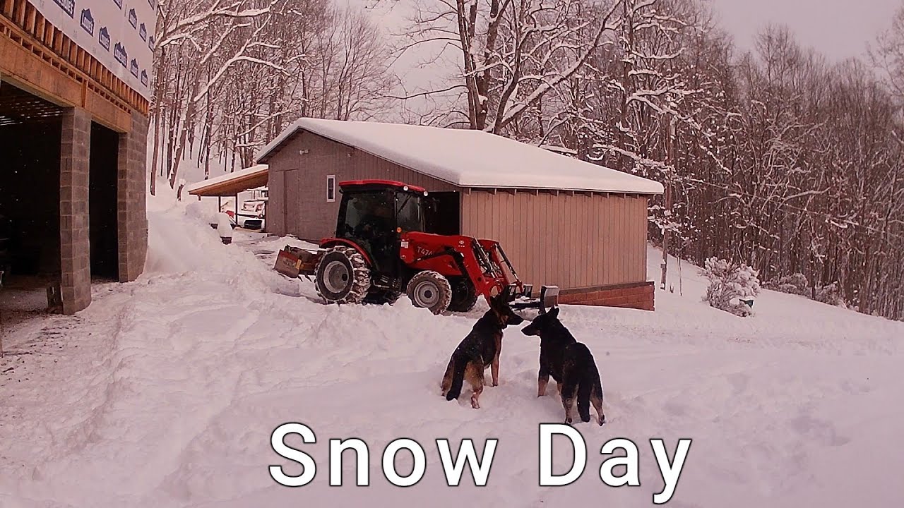 Snow Day
