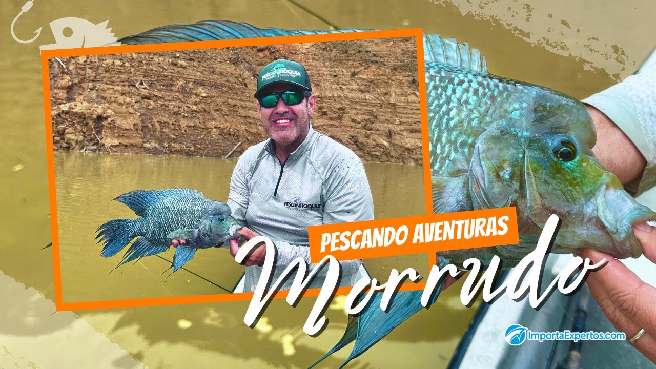 Pesca de Morrudo 🐠