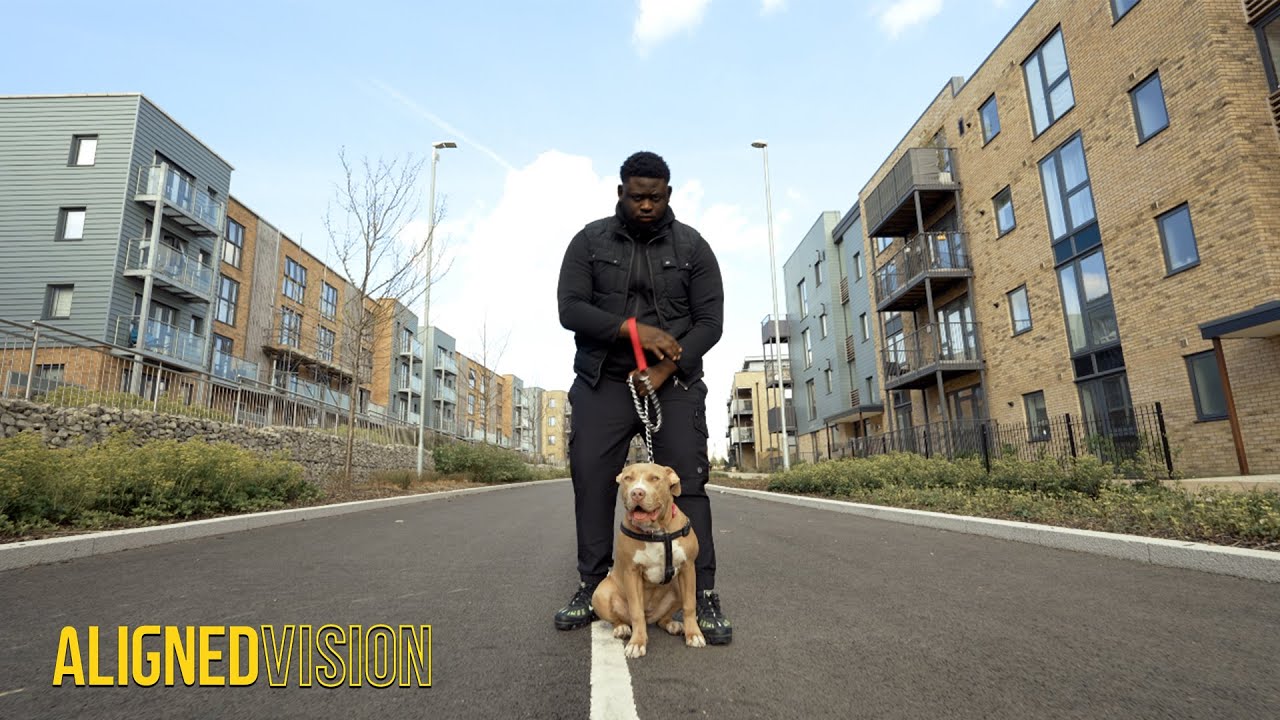 Calmz x Rev J - No Hook 2.0 (Net Video)