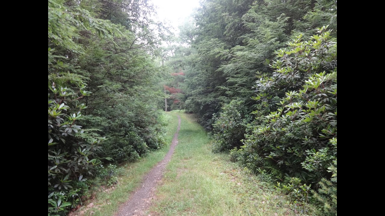 Michaux State Forest:  The Best Five Mile Loop in PA (Day Hike)