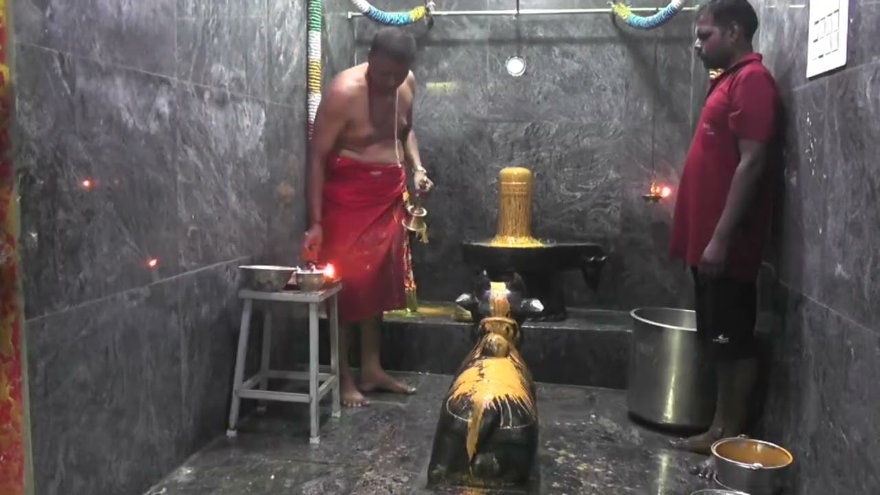 கோவில்பட்டி ஸ்ரீ  மீனாட்சி சுந்தரேஸ்வரர் ஆலயத்தில் ஆவணி மாத பிரதோஷ வழிபாடு 