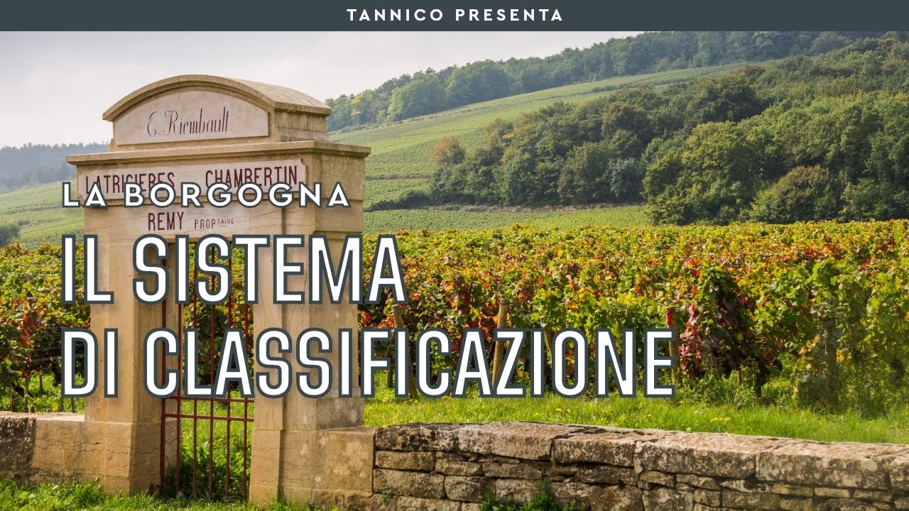 I Grand Cru e la classificazione dei vini di Borgogna | Tannico Flying School