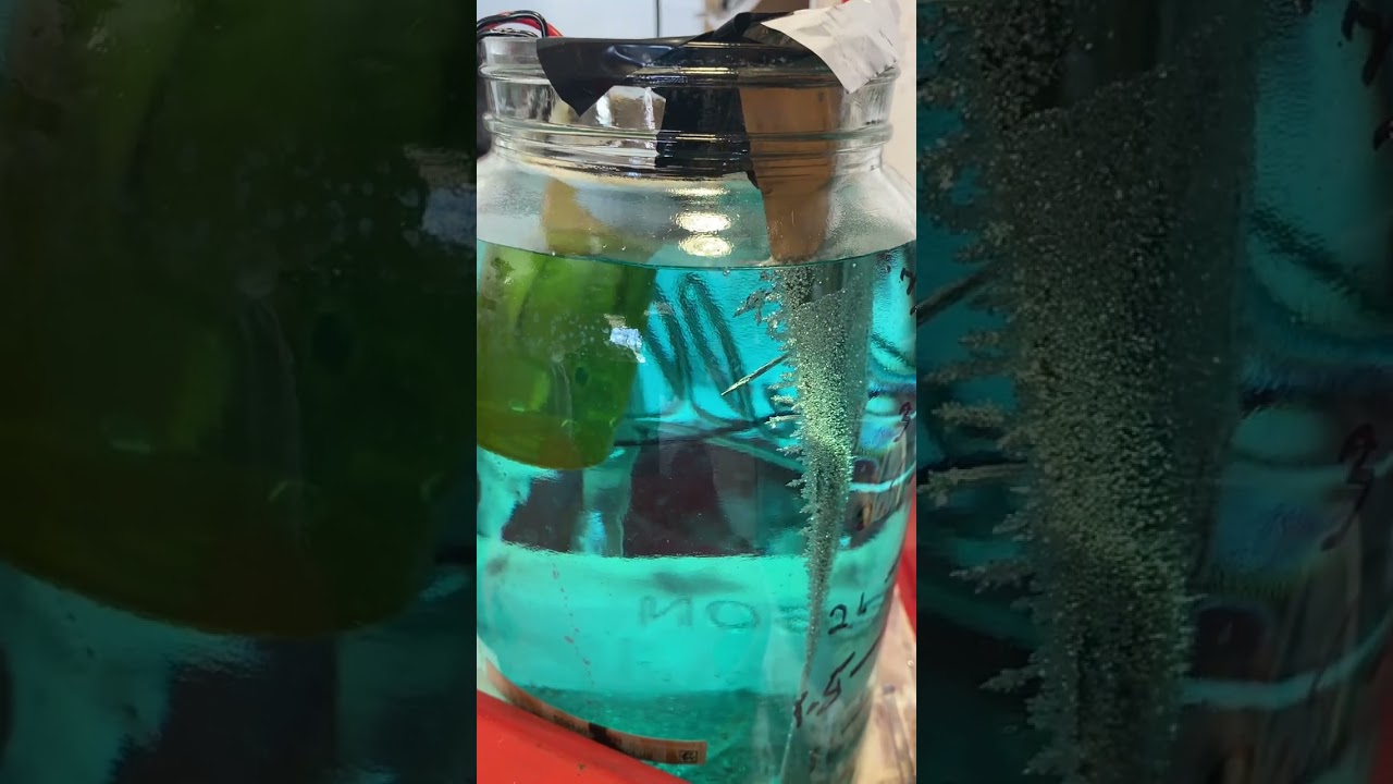 another clean out of 3.3 liter silver cell